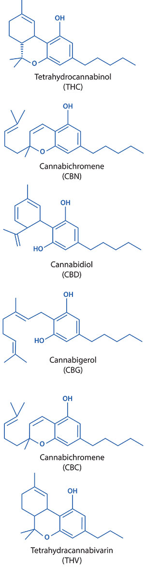 Cannabis Chemistry