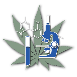 chemistry of cannabis