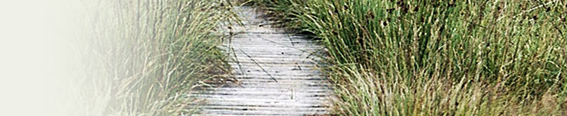 Alternative Treatment Offers Life With Dignity