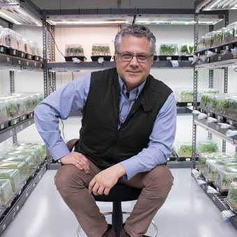Know Your Cannabis Medicine